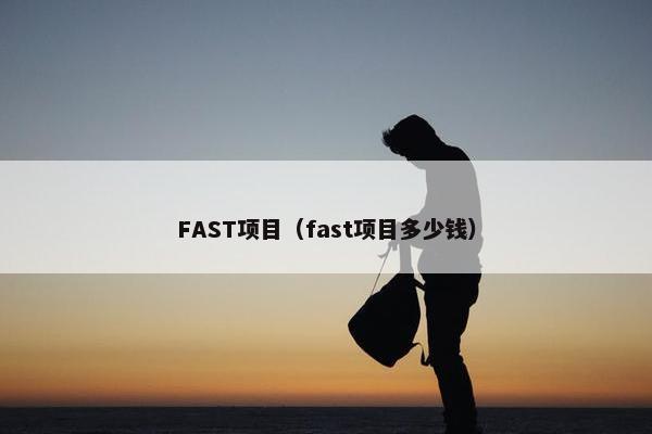 FAST项目（fast项目多少钱）