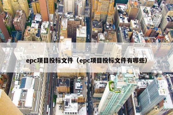 epc项目投标文件（epc项目投标文件有哪些）