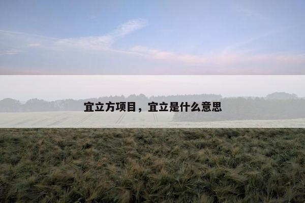 宜立方项目，宜立是什么意思