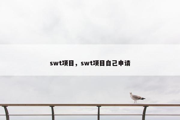 swt项目，swt项目自己申请