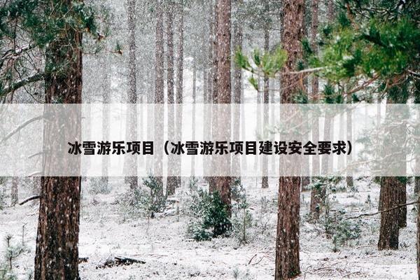 冰雪游乐项目（冰雪游乐项目建设安全要求）