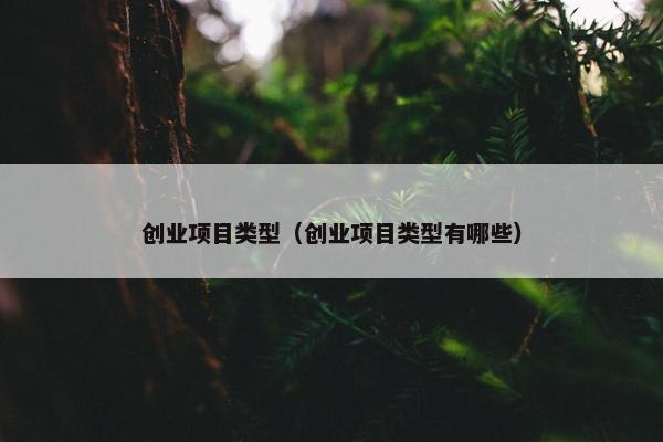 创业项目类型（创业项目类型有哪些）