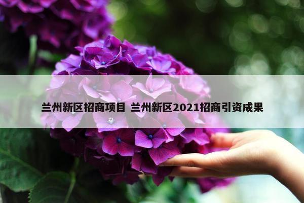 兰州新区招商项目 兰州新区2021招商引资成果