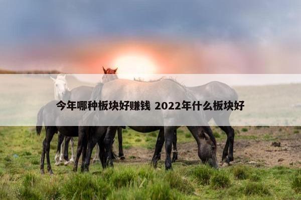 今年哪种板块好赚钱 2022年什么板块好