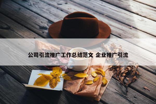 公司引流推广工作总结范文 企业推广引流