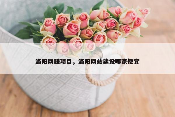 洛阳网赚项目，洛阳网站建设哪家便宜