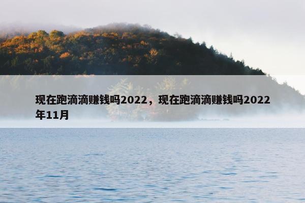 现在跑滴滴赚钱吗2022，现在跑滴滴赚钱吗2022年11月