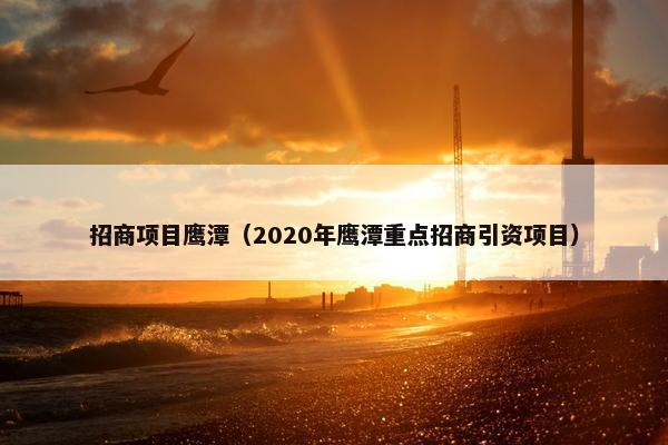 招商项目鹰潭（2020年鹰潭重点招商引资项目）