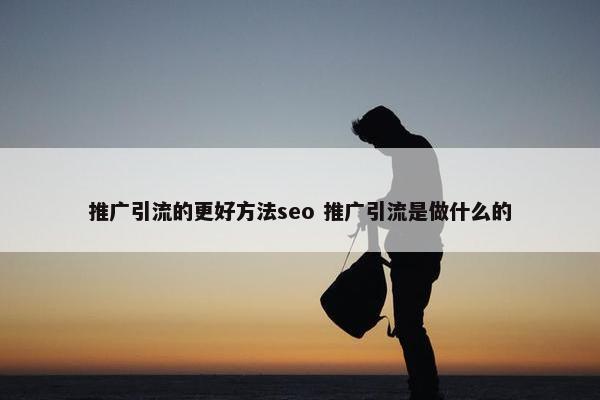 推广引流的更好方法seo 推广引流是做什么的