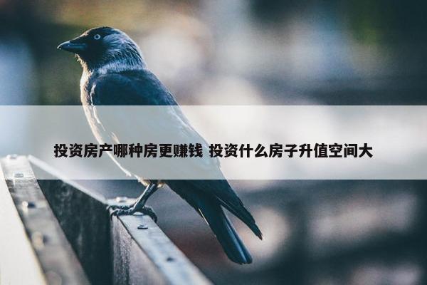 投资房产哪种房更赚钱 投资什么房子升值空间大