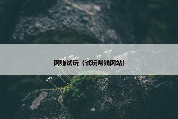 网赚试玩（试玩赚钱网站）