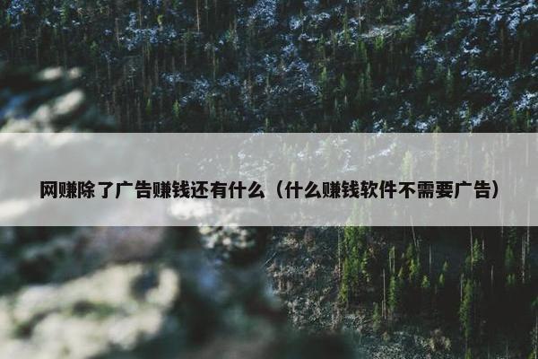 网赚除了广告赚钱还有什么（什么赚钱软件不需要广告）