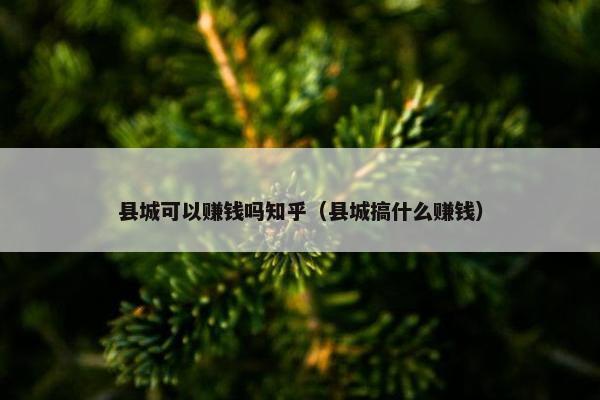 县城可以赚钱吗知乎（县城搞什么赚钱）