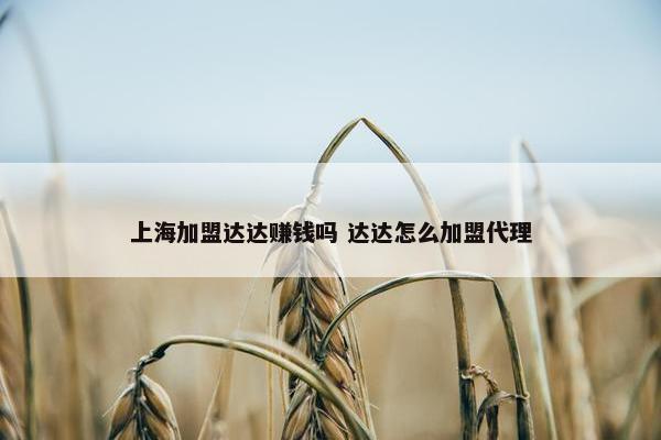 上海加盟达达赚钱吗 达达怎么加盟代理