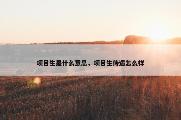 项目生是什么意思，项目生待遇怎么样