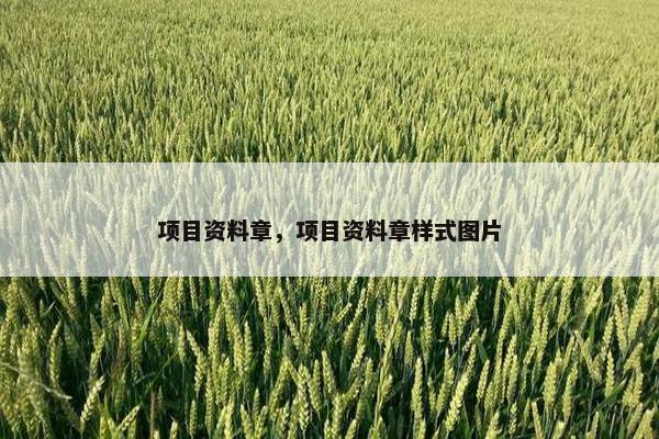 项目资料章，项目资料章样式图片