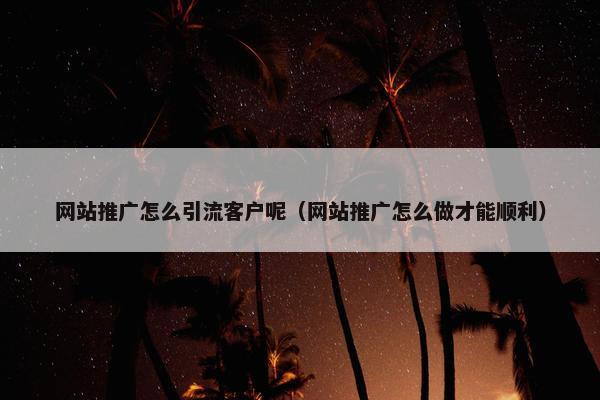 网站推广怎么引流客户呢（网站推广怎么做才能顺利）