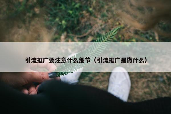 引流推广要注意什么细节（引流推广是做什么）