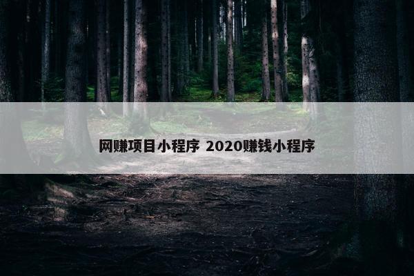 网赚项目小程序 2020赚钱小程序