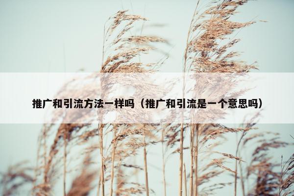 推广和引流方法一样吗（推广和引流是一个意思吗）