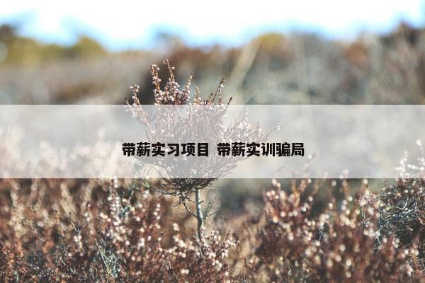 带薪实习项目 带薪实训骗局