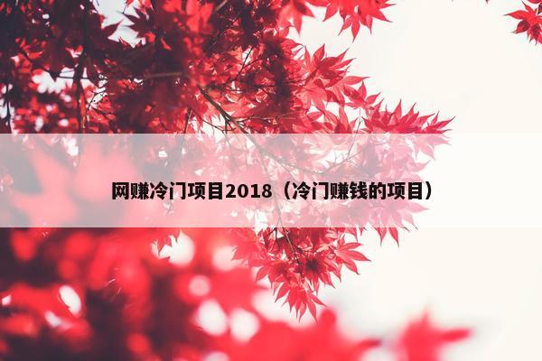 网赚冷门项目2018（冷门赚钱的项目）