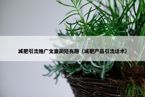 减肥引流推广文案简短有趣（减肥产品引流话术）