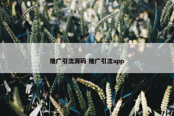 推广引流源码 推广引流app