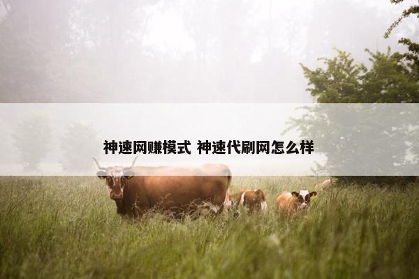 神速网赚模式 神速代刷网怎么样