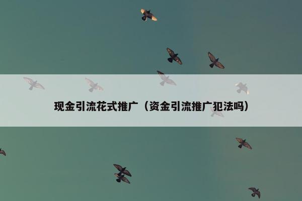 现金引流花式推广（资金引流推广犯法吗）