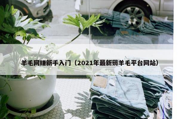 羊毛网赚新手入门（2021年最新薅羊毛平台网站）