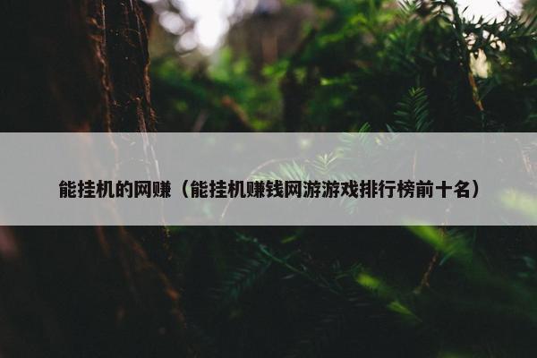 能挂机的网赚（能挂机赚钱网游游戏排行榜前十名）