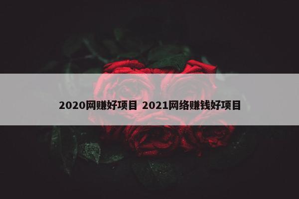 2020网赚好项目 2021网络赚钱好项目