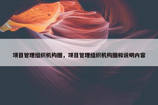 项目管理组织机构图，项目管理组织机构图和说明内容