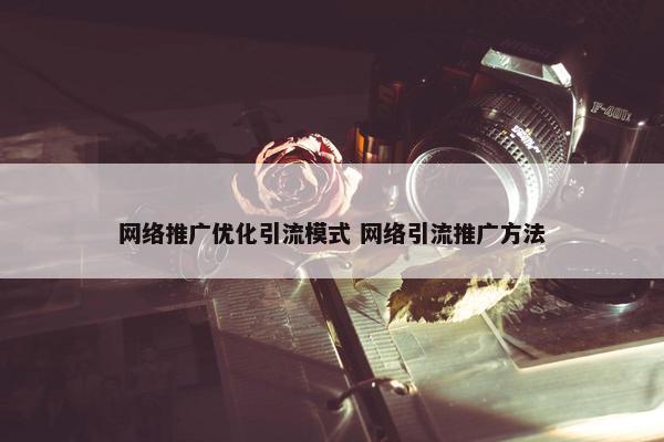 网络推广优化引流模式 网络引流推广方法