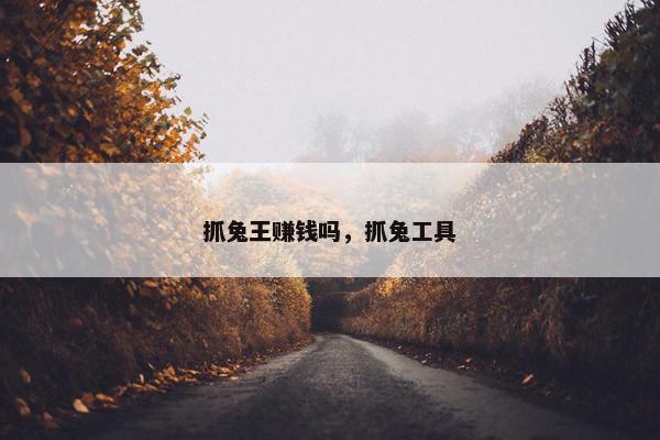 抓兔王赚钱吗，抓兔工具