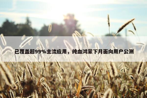 已覆盖超99%主流应用，纯血鸿蒙下月面向用户公测