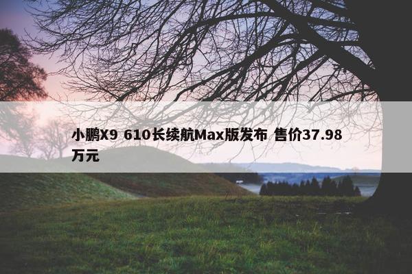 小鹏X9 610长续航Max版发布 售价37.98万元