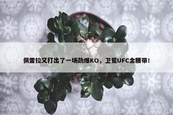 佩雷拉又打出了一场劲爆KO，卫冕UFC金腰带！